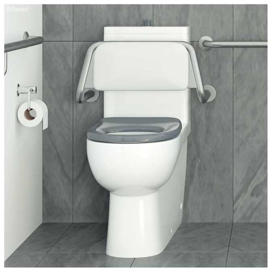 Back Rest for Care Disabled Toilet Suites