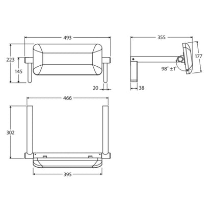 Fienza Care Back Rest Gun Metal